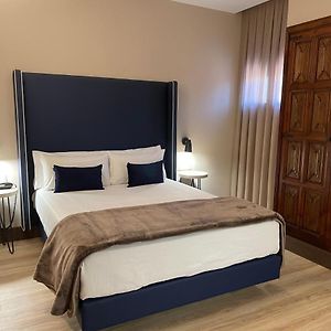 Comfort Single Room